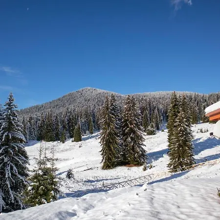 Vila морава Pamporovo