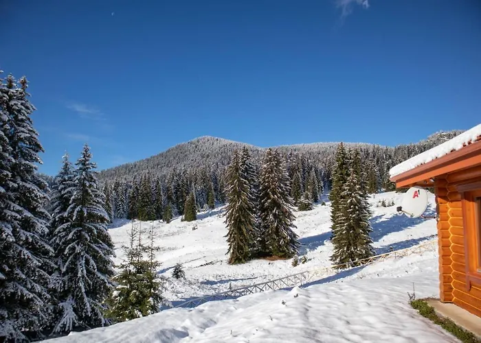 Луксозна вила морава Пампорово